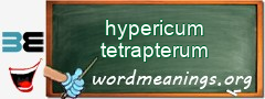 WordMeaning blackboard for hypericum tetrapterum